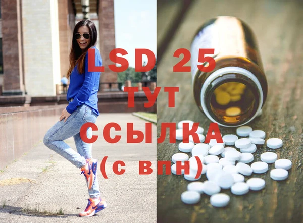 крисы Медвежьегорск