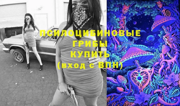 крисы Медвежьегорск