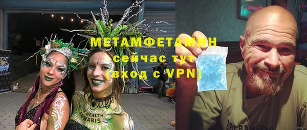 крисы Медвежьегорск