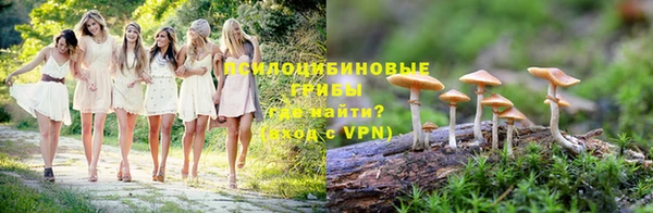 a pvp Медногорск