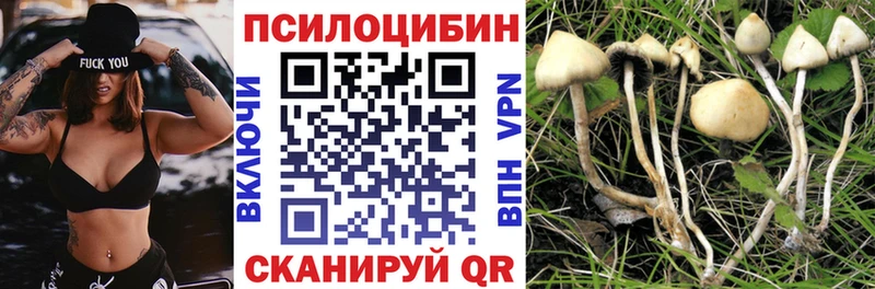 Псилоцибиновые грибы прущие грибы  Каневская 